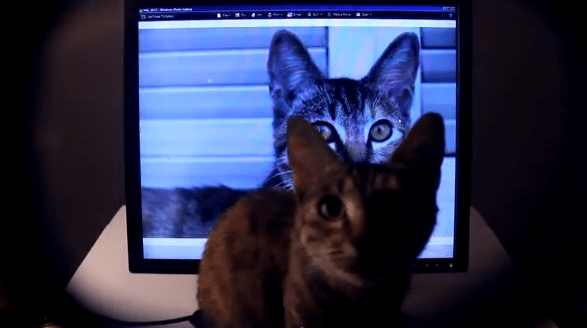 Monitorul secret, Foto: Captura YouTube