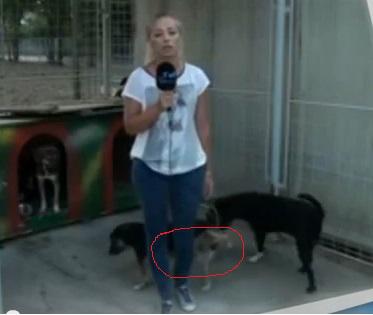 Clipul zilei, Foto: Captura Youtube.com