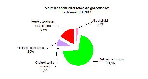 Cheltuielile populatiei, trim. II 2013, Foto: INS