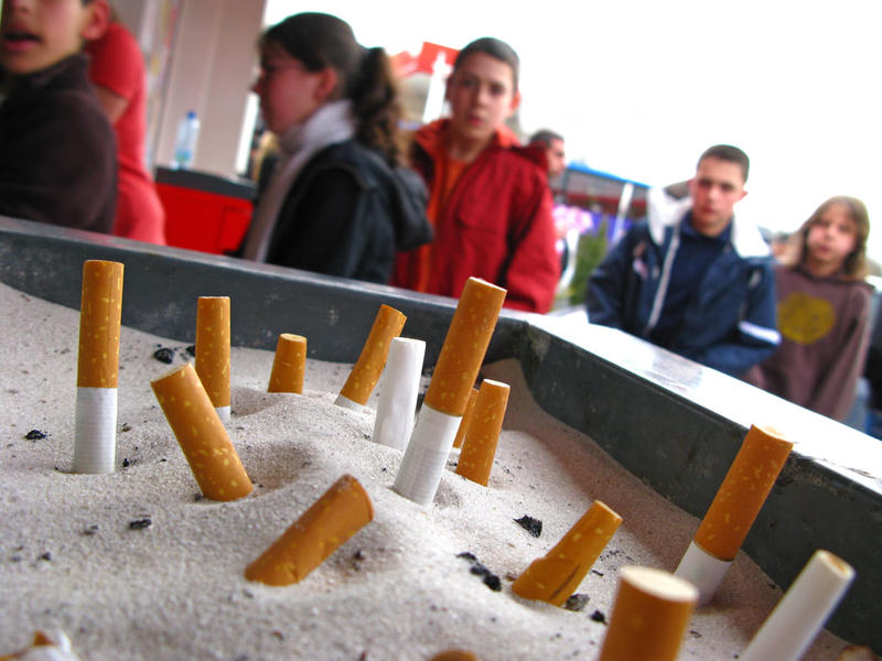 Restrictii europene la tigari, Foto: Parlamentul European
