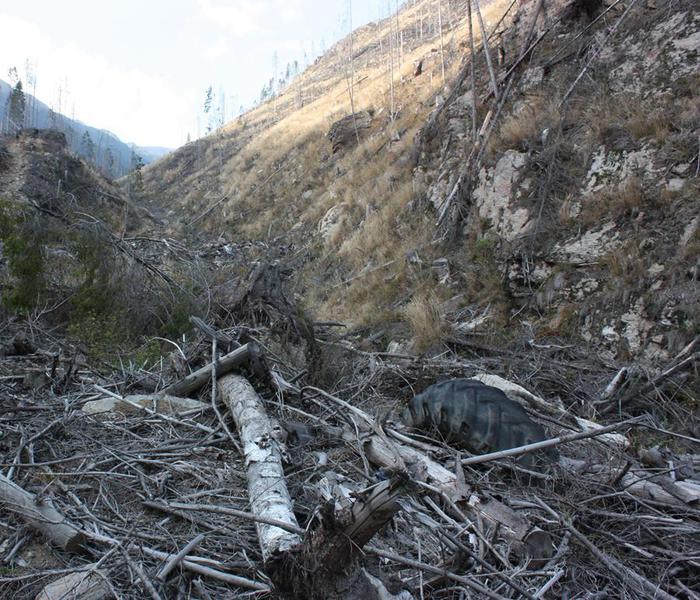 Despaduriri Arges 1, Foto: Hotnews