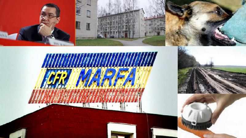 Subiectele zilei, Foto: Colaj foto