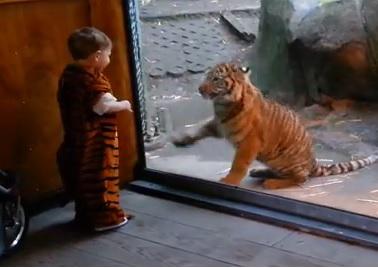 Clipul zilei, Foto: Captura Youtube.com