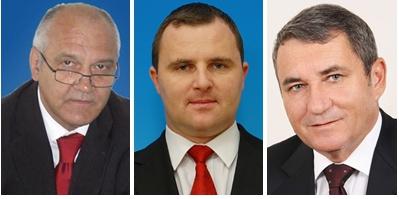 Mircea Grosaru (st.), Merka Adrian-Miroslav (c.), Niculae Mircovici, Foto: cdep.ro