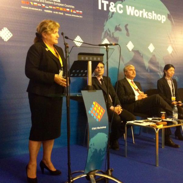 Doina Banciu, sefa ICI, Foto: Hotnews