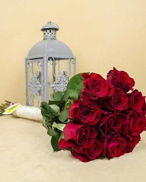 Florariile Magnolia, Foto: Magnolia