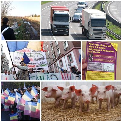 SUBIECTELE ZILEI, Foto: Colaj foto