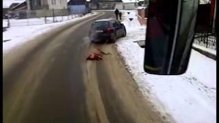 Hai cu porcul pe DN, Foto: youtube.com