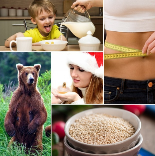 Utile, Foto: Colaj foto