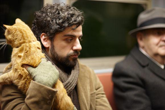 Inside Llewyn Davis, Foto: Asociatia Culturala Macondo