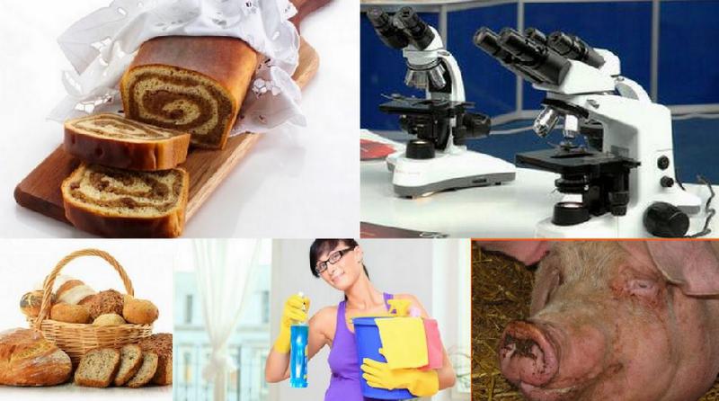 Utile, Foto: Hotnews