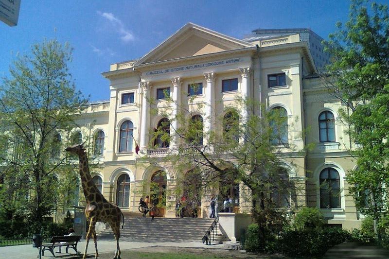 Muzeul Antipa, Foto: Ministerul Culturii