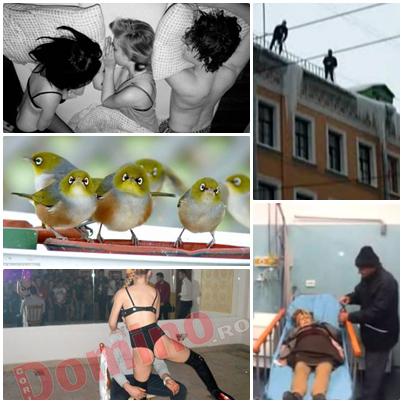 Faze tari, Foto: Colaj foto