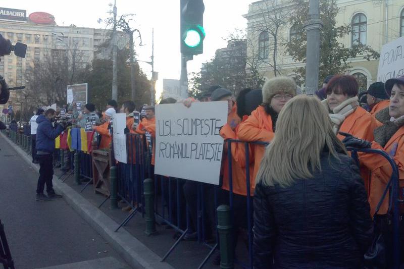 Mitingul PDL la Muzeul Antipa, Foto: Hotnews