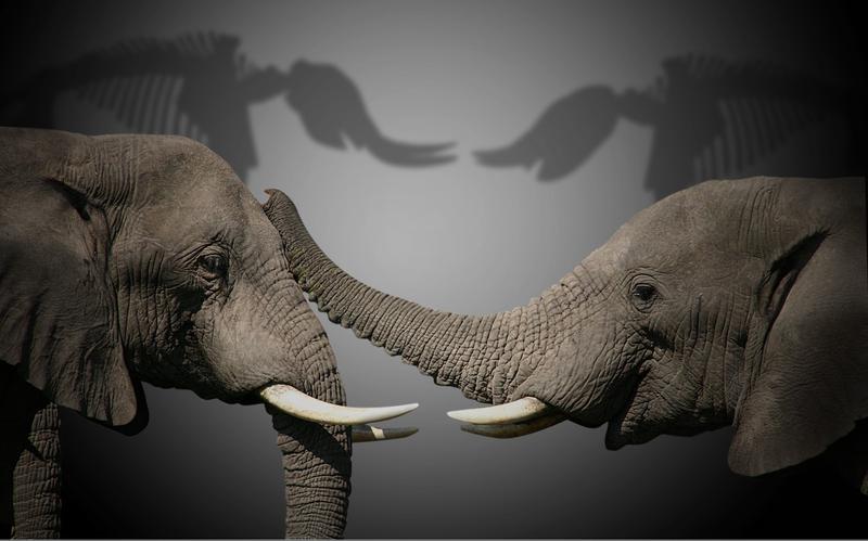 prezent si viitor, Foto: Photopuppeteer