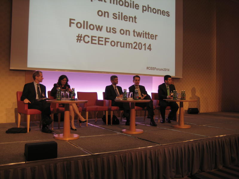 Liviu Voinea, ministrul Bugetului, speaker la Euromoney, Viena , Foto: Hotnews