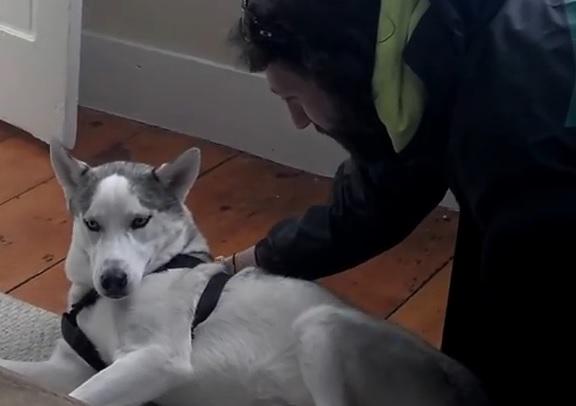 Clipul zilei, Foto: Captura Youtube.com