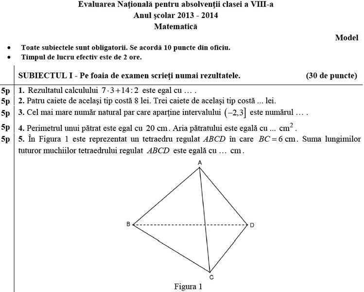 Modele de Subiecte - Evaluarea Nationala 2014, Foto: edu.ro