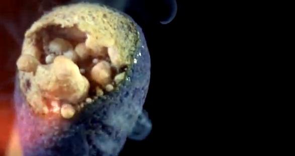 Chibrit, Foto: Captura YouTube