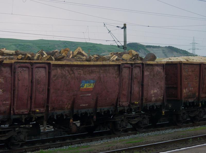 Lemnul romanesc, la export, Foto: Hotnews