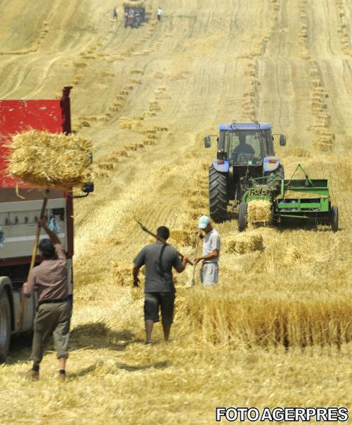 Teren agricol, Foto: Agerpres