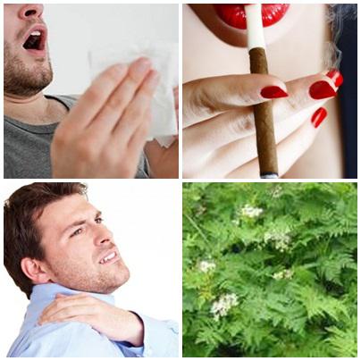 Utile, Foto: Colaj foto