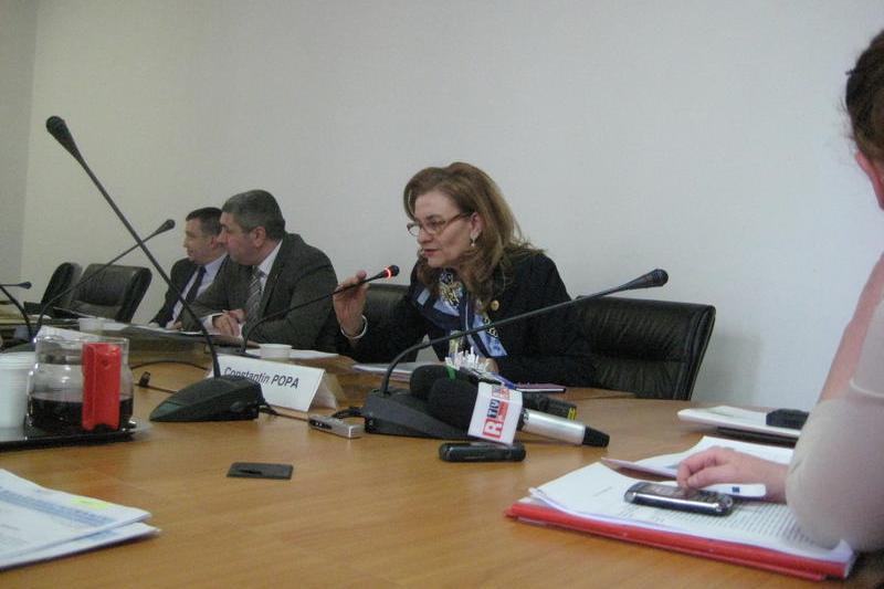 Maria Grapini, la Comisia din Senat, Foto: Hotnews