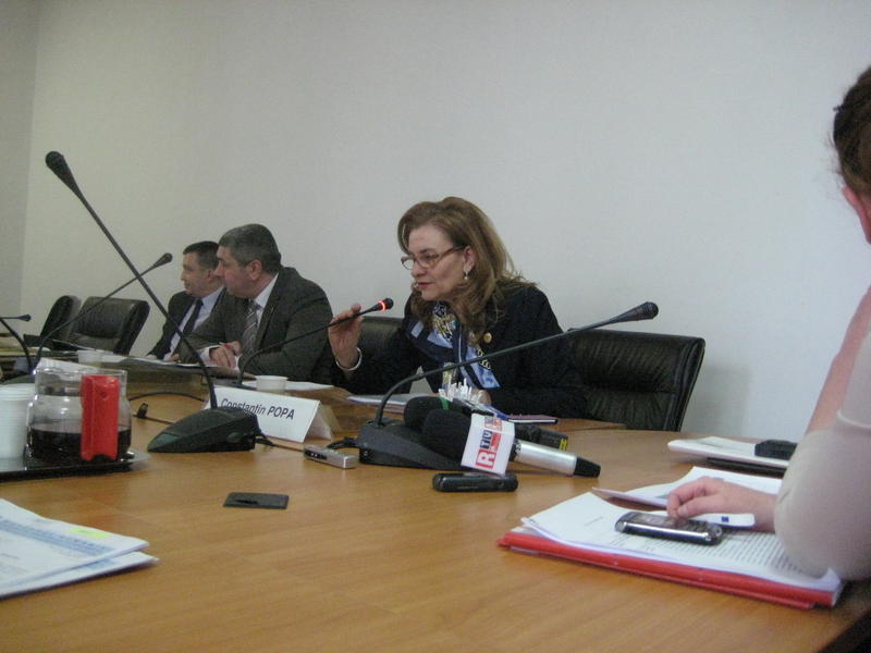 Maria Grapini, la Comisia din Senat, Foto: Hotnews