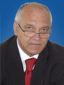 Mircea Grosaru, Foto: cdep.ro