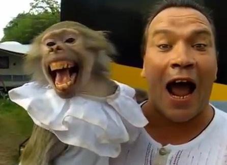 Om si maimuta, Foto: Captura YouTube