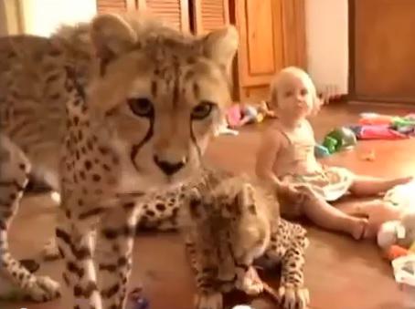 Clipul zilei, Foto: Captura Youtube.com