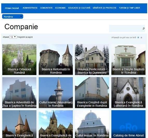 Cum arata sectiunea Companie din portalul eRomania, Foto: Captura Portaleromania.ro