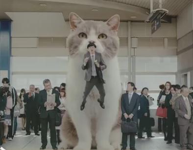 Clipul zilei, Foto: Captura Youtube.com