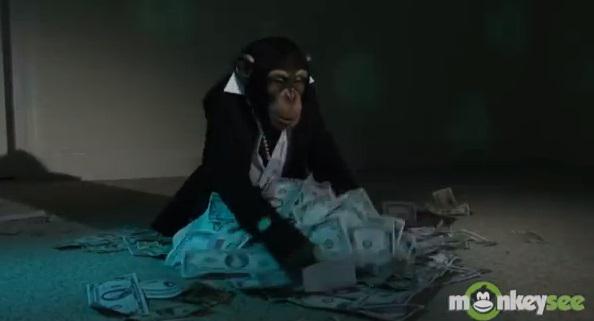 Cimpanzeul cu bani, Foto: Captura YouTube