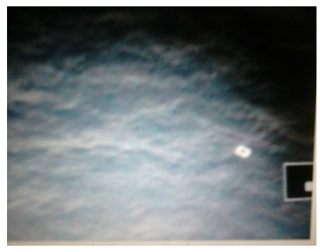 Imagine publicata de vietnamezi cu posibile ramasite ale avionului disparut, Foto: infonet.vn