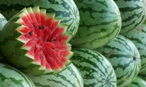 Pepene verde, Foto: MorgueFile.com