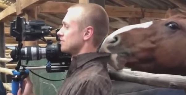 Calul si cameramanul, Foto: Captura YouTube