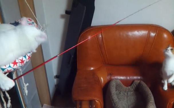 Clipul zilei, Foto: Captura Youtube.com