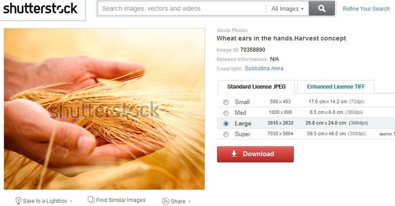 Originalul pozei utilizate de PSD 3, Foto: www.shutterstock.com