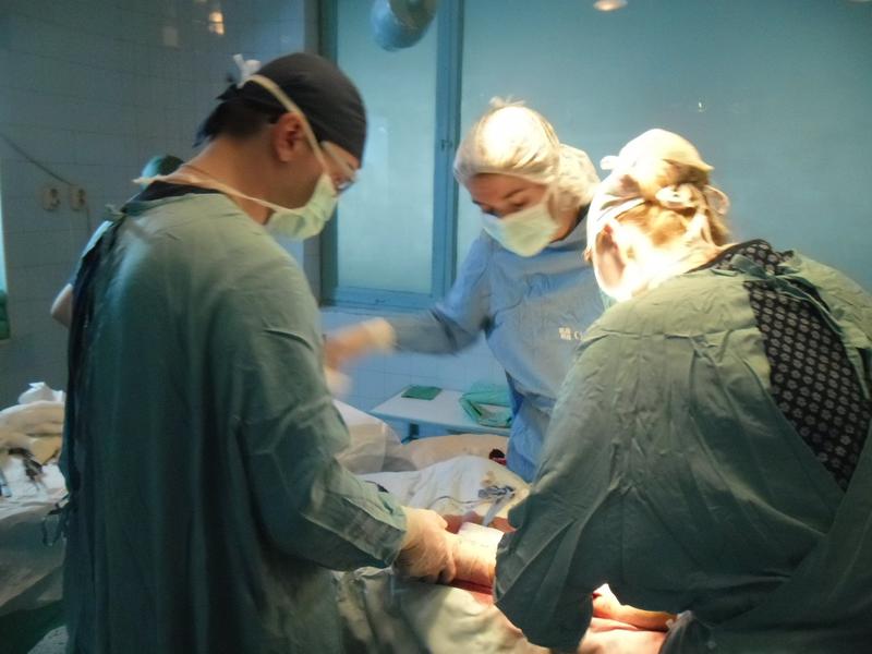 Disectii cromatice, Foto: Mircea Popitiu