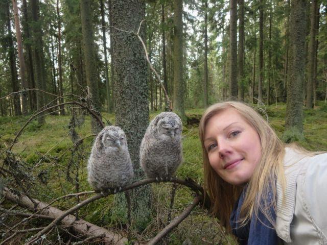 Pufosenii, Foto: youtube.com