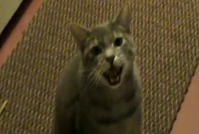 Clipul zilei, Foto: Captura Youtube.com