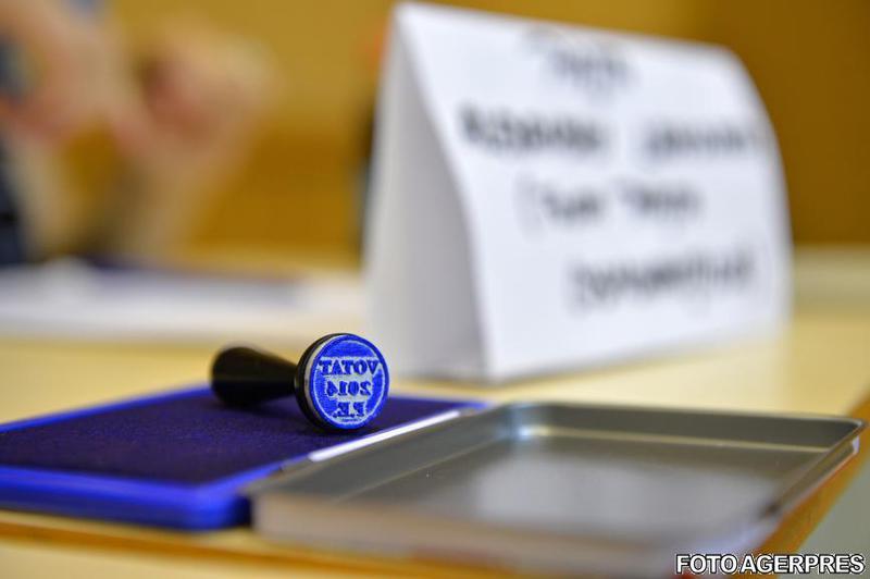 Alegeri europarlamentare 2014, Foto: Agerpres
