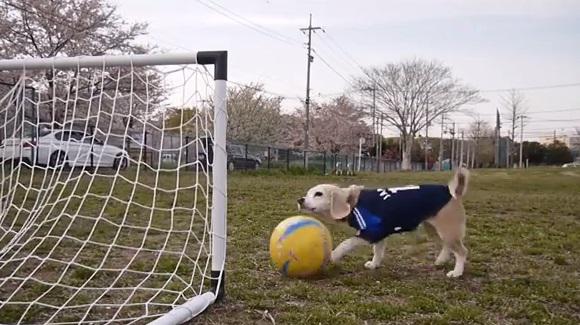 Clipul zilei, Foto: Captura YouTube