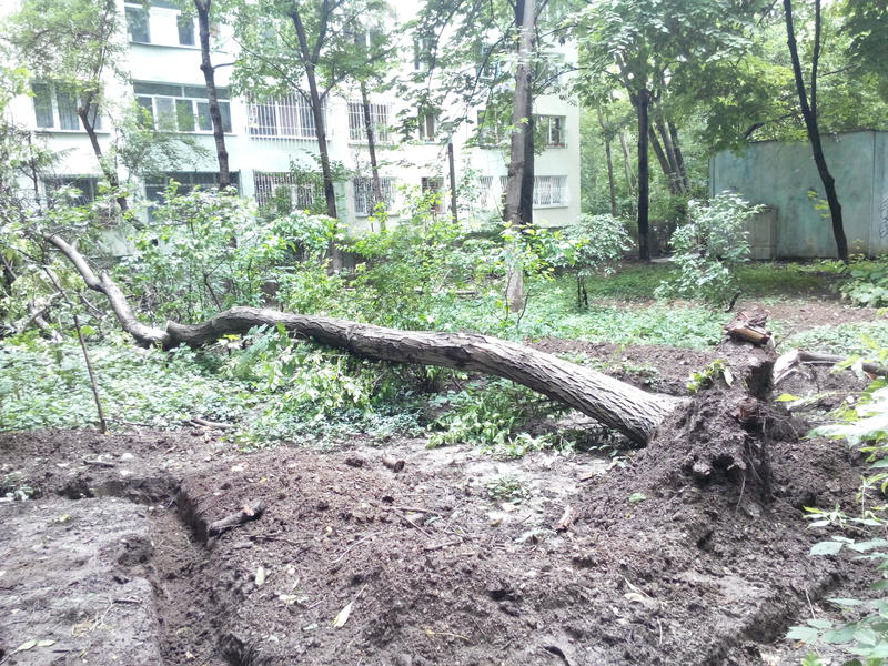 Proiectele controversate sau ilegale nu mai trebuie puse in discutie publica, Foto: Hotnews