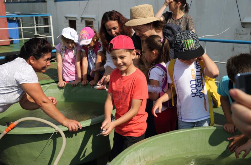 Actiune Apa Nova, Foto: Apa Nova