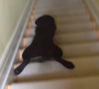 Clipul zilei, Foto: Captura Youtube.com