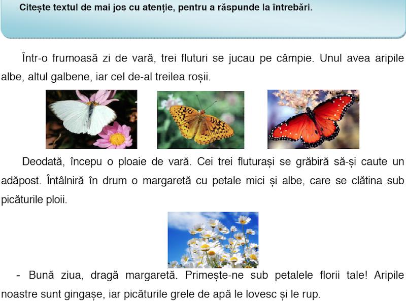 Subiecte Citit Limba romana - clasa a II-a, Foto: edu.ro