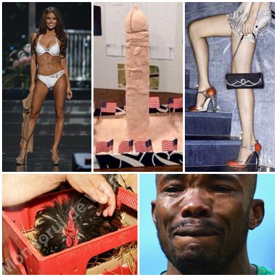 Faze tari, Foto: Colaj foto