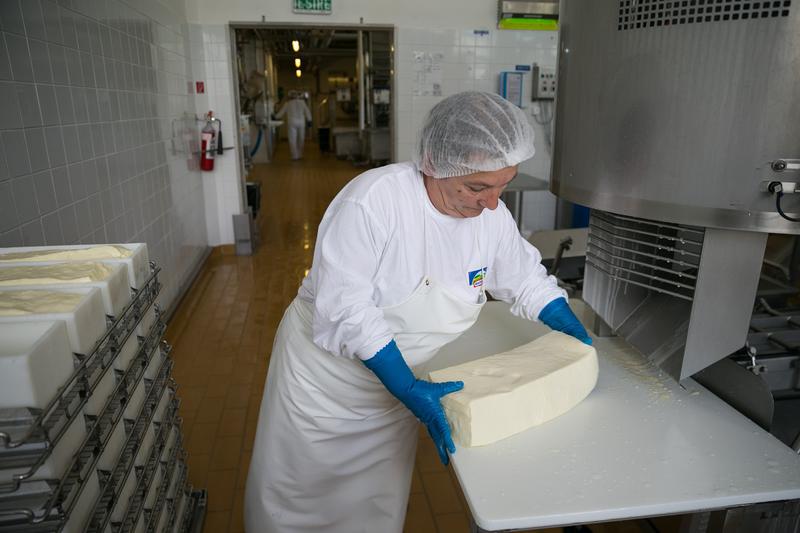 Fabrica de cascaval de la Sovata, Foto: Hochland